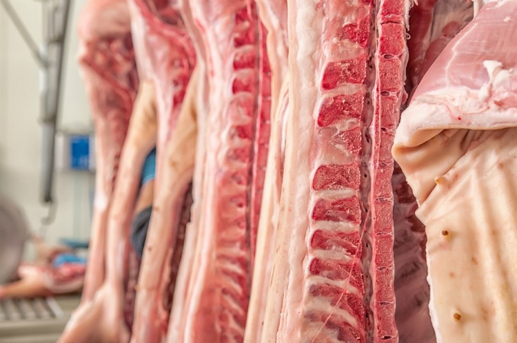 US pork exports broke a number of its own volume and value records last year