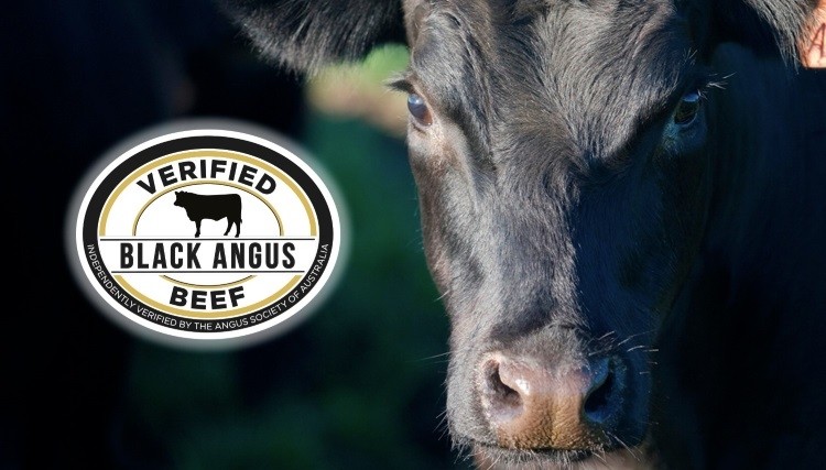 1788 awarded with Black Angus status