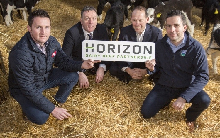 Arthur Callaghan and George Mullan (ABP) with Nick Whelan and Chris Frizzell (Dale Farm) launch Horizon