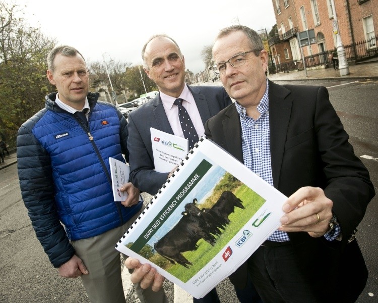 Padraig French, Dr Andrew Cromie and Dean Holroyd launch the carbon reduction report