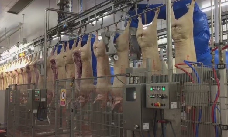 Deal signed for meat industry robotics