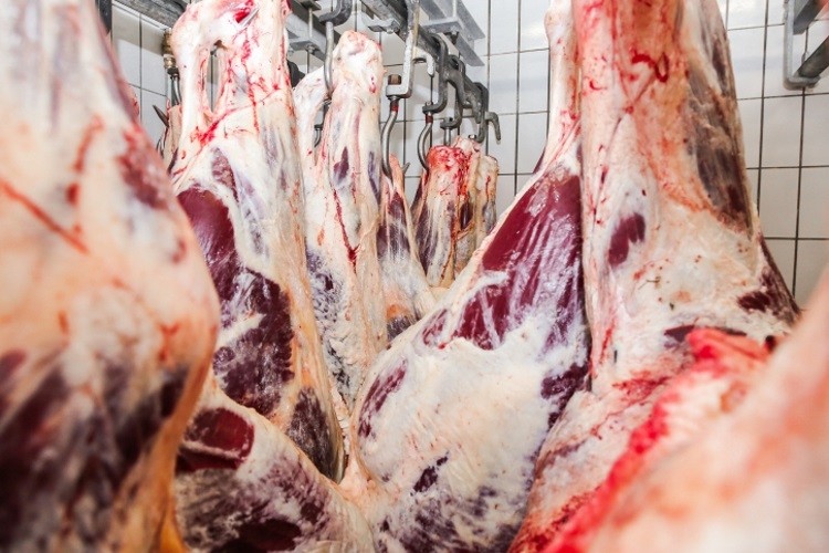 Auchan to expand meat processing business in Russia 