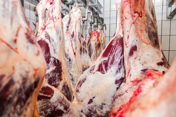 EU slaughterhouse stunning should only take place if it is licensed and approved by regulatory authorities 