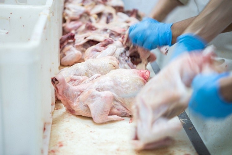 UK consumers against treated meat