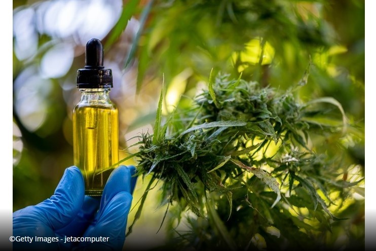 CBD narcotic status to have ‘repercussions’ on hemp industry