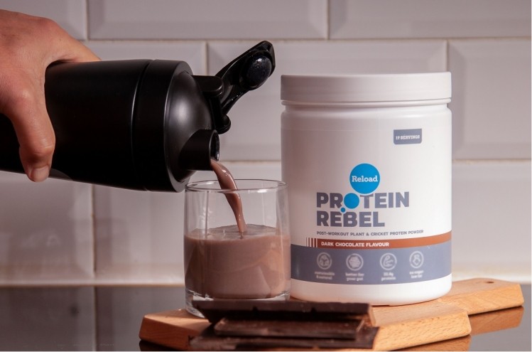 Protein Rebel