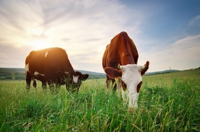 Slightly more than one in five people think grass-feed beef taste better than grain-fed