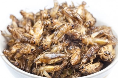About 27% of the 7.3 billion global population eat insects, according to the FAO. Photo credit: iStock.com / peterkai