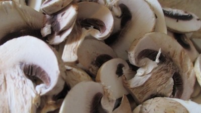 Mushroom cartel: EU fines canned mushroom producers in antitrust settlement