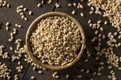 Barley that showed high salt-tolerance would be a significant step forward in tackling future food security. ©iStock/bhofack2