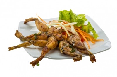 Frog legs made up almost half of all products irradiated 