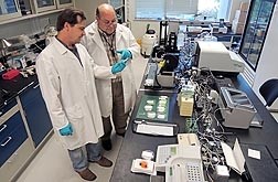 Photo: Alice Lin. Robert Hnasko (left) and biologist Larry Stanker examine lateral flow devices that can identify botulinum toxin serotypes