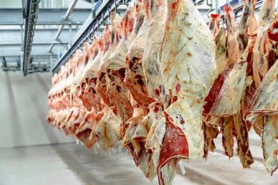 The ban on halal and kosher slaughter could take effect in September 2019 