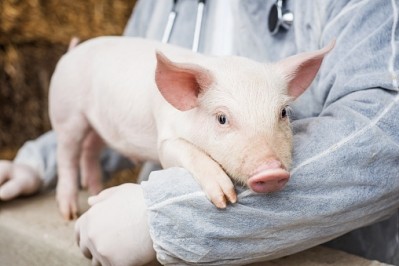 The UK bought 837kg of colistin to use on farm animals in 2014