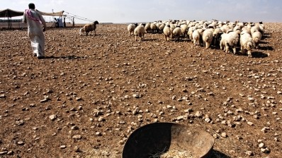 FAO opens Lebanon office to boost conflict-hit food supplies