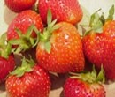German norovirus outbreak found to be from strawberries