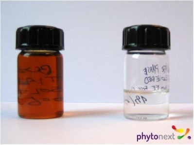 Two natural extracts with preservative effect, which are tested in the research. (© Phytonext)