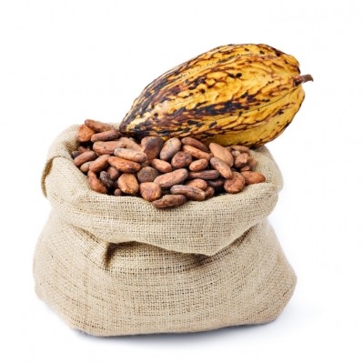 Cargill pays premium millions to cocoa farmers as sustainable sourcing grows