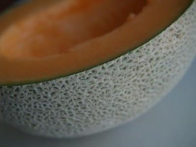 Different melons are prone to attachment from different pathogen strains 