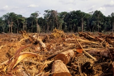 Brazil defends commitment to cut deforestation