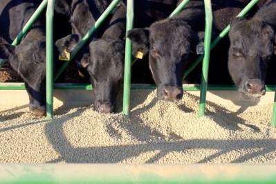 Around three quarters of cultivated soy is used to feed livestock