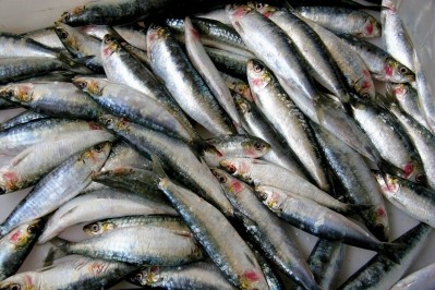 EU fish discards ‘difficult for industry to comply with’