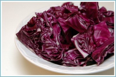 Breakthrough in anthocyanin extraction from red cabbage