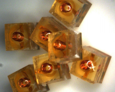 A microscope image showing the chips (they are 2mm cubes with a small hole in the middle where sample is injected into)