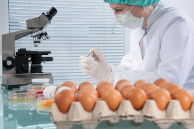 Isolates associated with outbreak strain found since 2014 with link to eggs. Pic: iStock