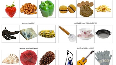Food image database aims to boost consumer preference research