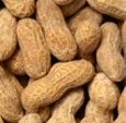 Peanut meal could provide a source of novel umami flavour compounds and enhancers, say the researchers.