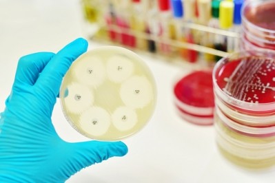 Food experts have warned there are currently no alternatives to antibiotics