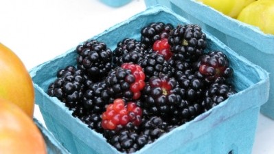 Blackberry juice prevents foodborne pathogen growth