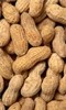 Enzyme technology may provide value-added extracts from peanut waste