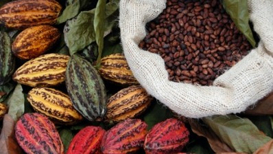 Pectin recovery from cocoa husks possible say researchers