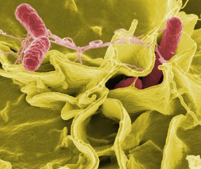 The technology has been validated for control of pathogens such as Salmonella