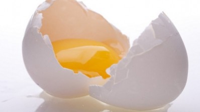 Enzyme processing may offer new textures from egg protein