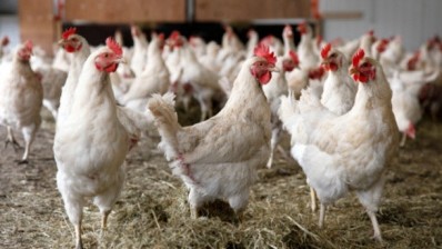 The funding will partly go towards tackling avian influenza