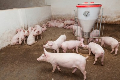 Investment in the Serbia's pork industry is seen as a potential boost for the country's economy