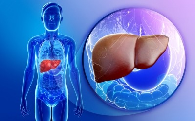 Fatty liver occurs in 20–30% of the general adult population, and is strongly associated with obesity and type 2 diabetes. (© iStock.com) 