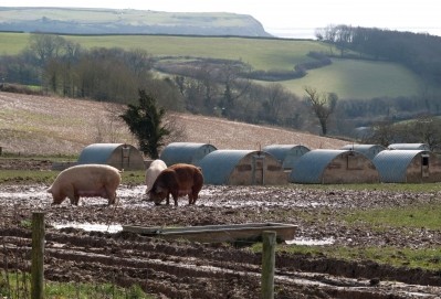 An increasing number of pig farmers are carrying out their own testing