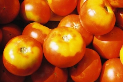 European tomato paste users look to US market
