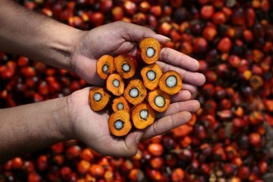  WWF interview: The rocky road to sustainable palm oil 