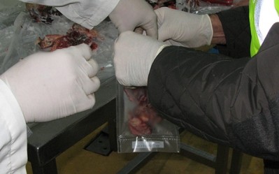 66 arrested in trading horsemeat unfit for consumption. Picture: Europol.