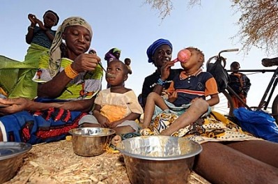 FAO demands an end to malnutrition that affects 3.5bn people
