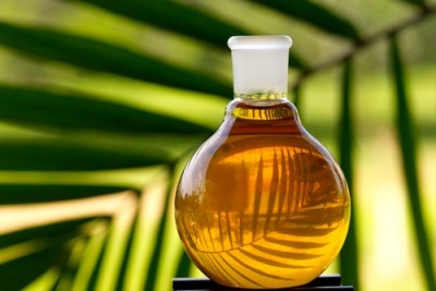 Palm oil agreement to increase Europe’s sustainable supply