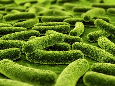 Autoimmune conditions - including type 1 diabetes - may be linked to 'substantial' alterations in the interaction of our gut bacteria, say researchers.