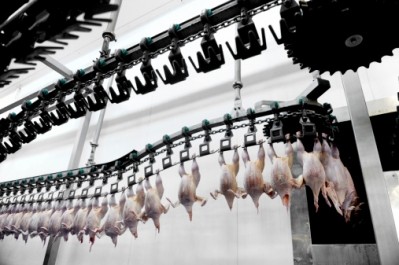 Konspol's slaughterhouse can process 12,000 chickens an hour