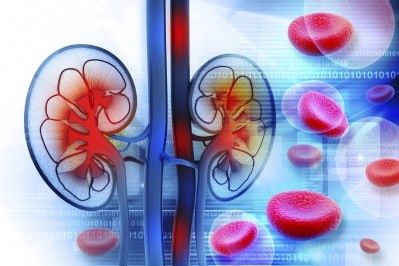 Patients with chronic kidney disease are known to be at an increased risk of cardiovascular problems compared with the general population. (© iStock.com)