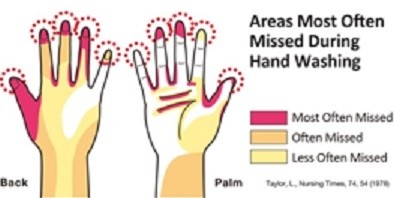Best Sanitizers points out that some areas of the hand aren't cleaned as well as others in processing environments.